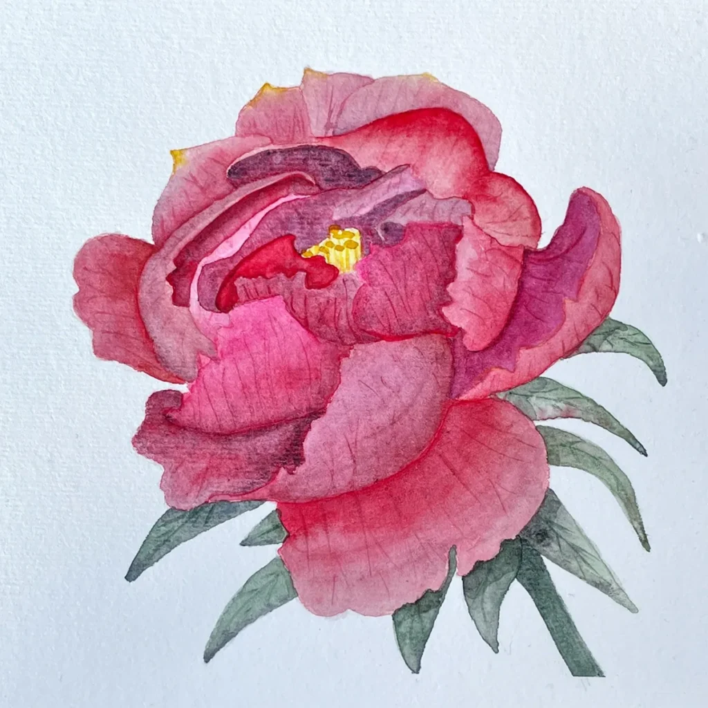 Aquarell Bild Pfingstrose 1