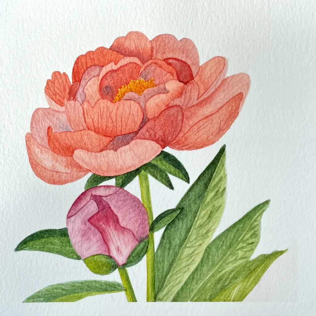 Aquarell Bild Pfingstrose orange